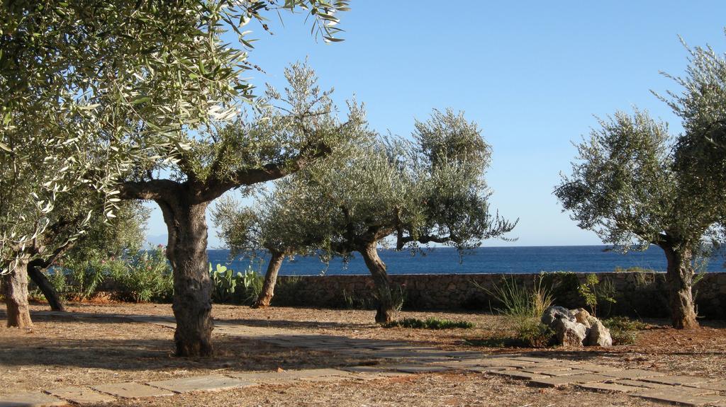 Villa Salvia Kardhamili Exterior foto